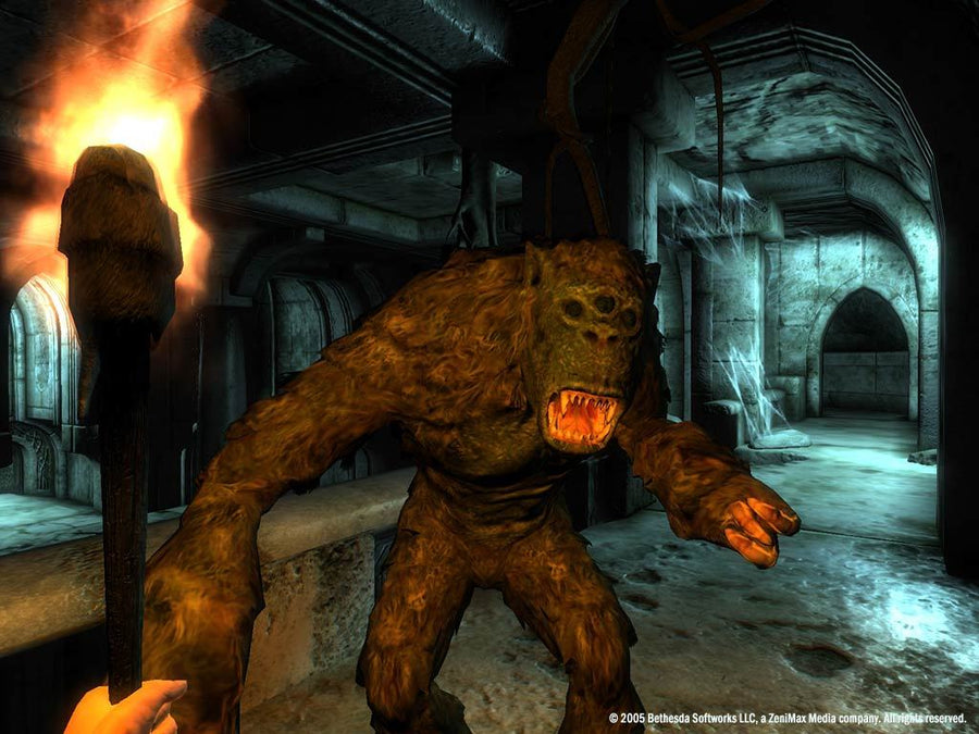 The Elder Scrolls IV: Oblivion Game of the Year Edition Deluxe (PC) - Steam Key - LATAM / CIS / ASIA